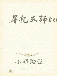 屠龙巫师txt