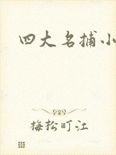 四大名捕小说
