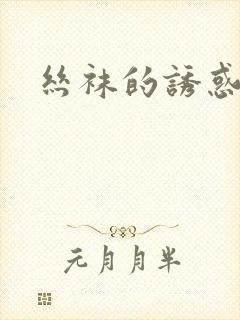 丝袜的诱惑小说