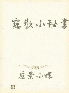 窃欢小秘书