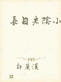 长日光阴小说