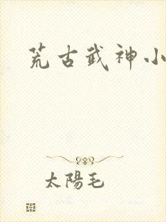 荒古武神小说