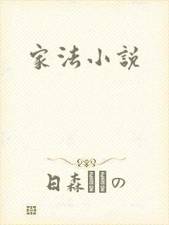 家法小说