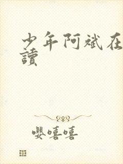 少年阿斌在线阅读