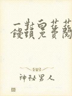 一对白花花的大馒头免费阅读