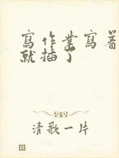 写作业写着写着就插了