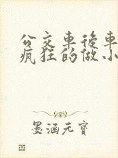 公交车后车座的疯狂的做小