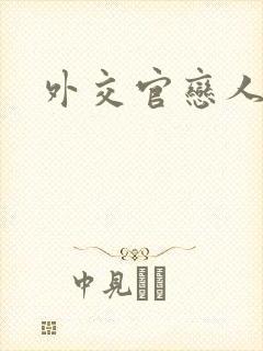 外交官恋人小说