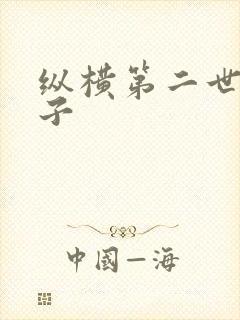 纵横第二世界宽子