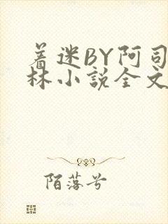 着迷BY阿司匹林小说全文免费阅读