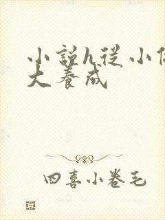 小说h从小做到大养成