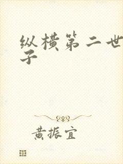 纵横第二世界宽子