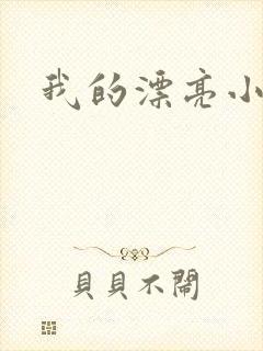 我的漂亮小后妈