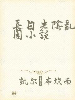 长日光阴乱作一团小说