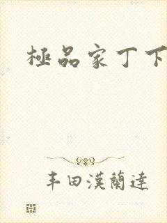 极品家丁下载封面