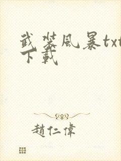 武装风暴txt下载