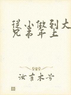 从小做到大骨科兄弟年上