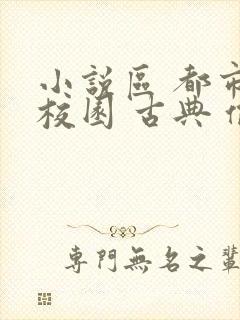 小说区 都市 校园 古典 偷拍