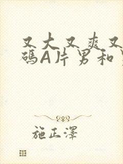 又大又爽又黄无码A片男和男