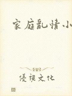 家庭乱情小说封面