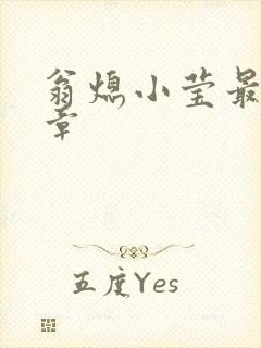 翁熄小莹最新节章