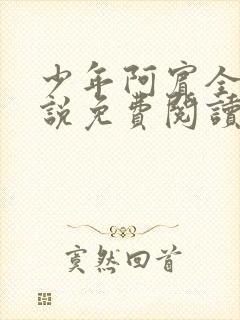 少年阿宾全文小说免费阅读笔趣阁