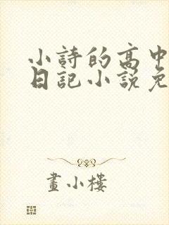 小诗的高中成长日记小说免费阅读