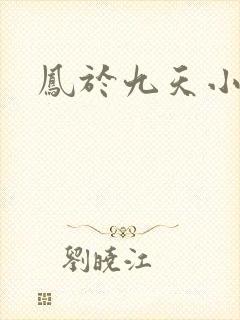 凤于九天小说
