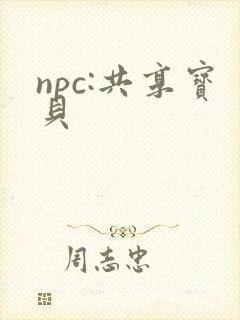 npc:共享宝贝