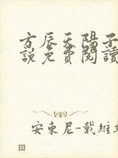 方辰天阳子的小说免费阅读