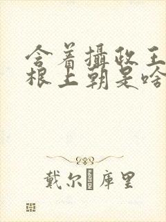 含着摄政王的紫根上朝是啥小说封面