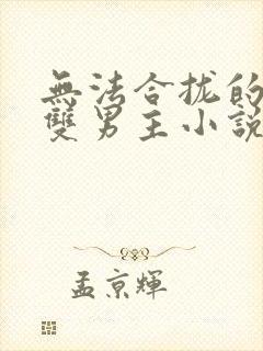 无法合拢的总裁双男主小说