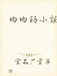 肉肉的小说