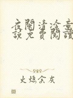 夜阑清冷意欢小说免费阅读