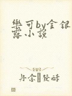 乐可by金银花露小说