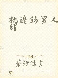 《枕边的男人 席绢》小说封面