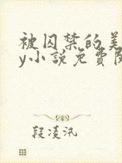 被囚禁的美人by小说免费阅读