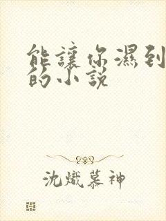 能让你湿到不行的小说