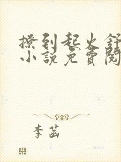 撩到起火舒漾的小说免费阅读全文