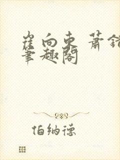 崔向东 萧错 笔趣阁