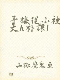 青梅从小被c到大h补课1