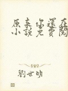原来你还在这里小说免费阅读