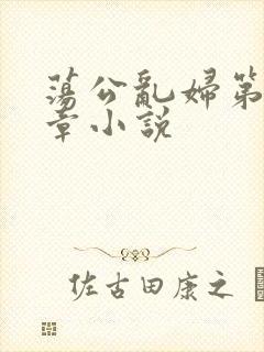 荡公乱妇第51章小说