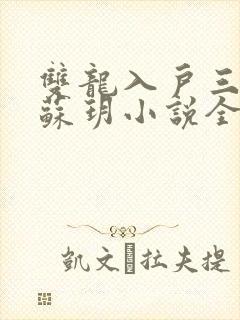 双龙入户三人行苏玥小说全文阅读