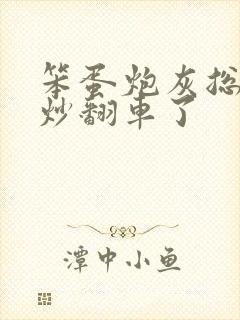 笨蛋炮灰总被爆炒翻车了