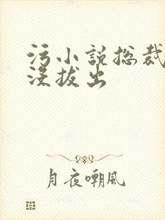 污小说总裁整夜没拔出