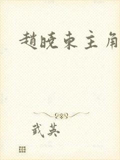 赵晓东主角小说