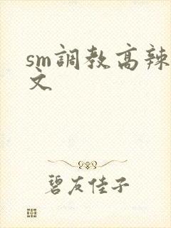 sm调教高辣h文