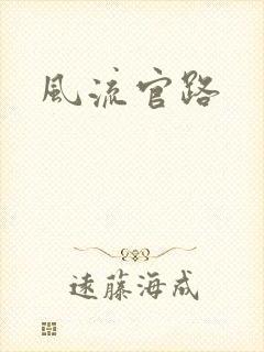 风流官路