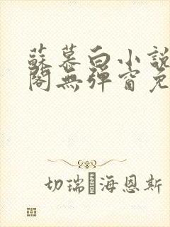 苏慕白小说笔趣阁无弹窗免费阅读